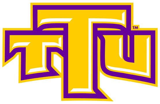 Tennessee Tech Golden Eagles 2006-Pres Alternate Logo v2 diy iron on heat transfer